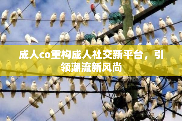 成人co重构成人社交新平台，引领潮流新风尚