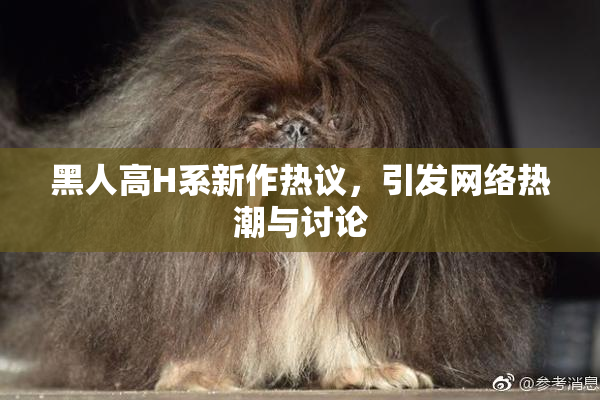 黑人高H系新作热议，引发网络热潮与讨论