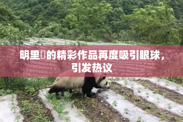 明里紬的精彩作品再度吸引眼球，引发热议