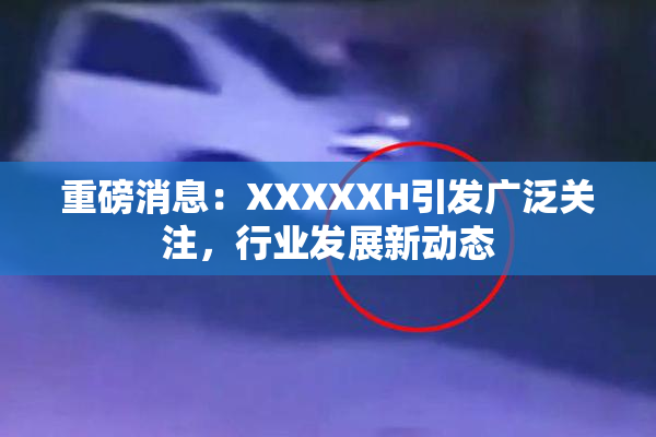 重磅消息：XXXXXH引发广泛关注，行业发展新动态