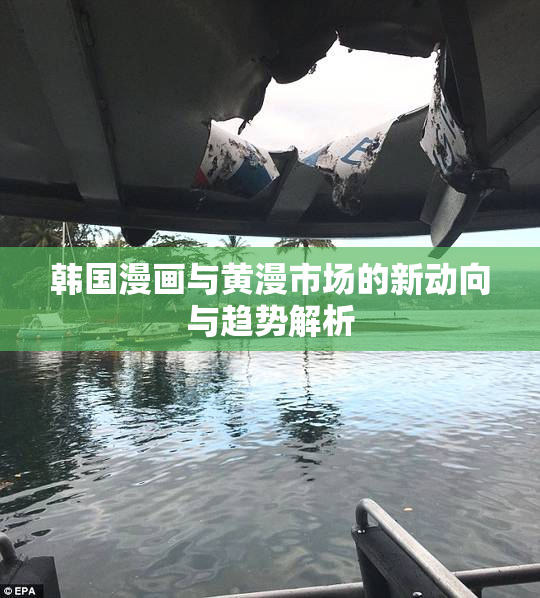 韩国漫画与黄漫市场的新动向与趋势解析