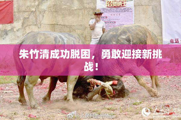 朱竹清成功脱困，勇敢迎接新挑战！