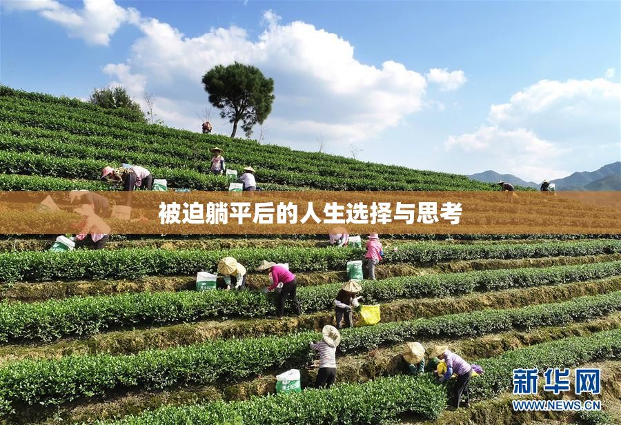 被迫躺平后的人生选择与思考