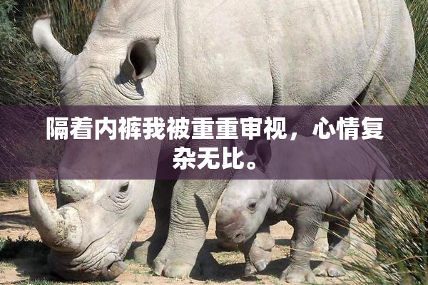 隔着内裤我被重重审视，心情复杂无比。
