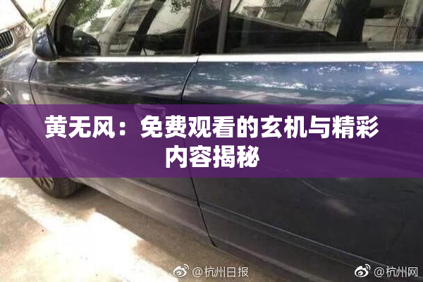黄无风：免费观看的玄机与精彩内容揭秘