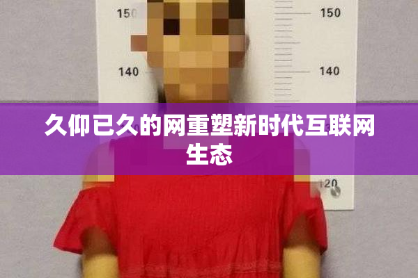 久仰已久的网重塑新时代互联网生态