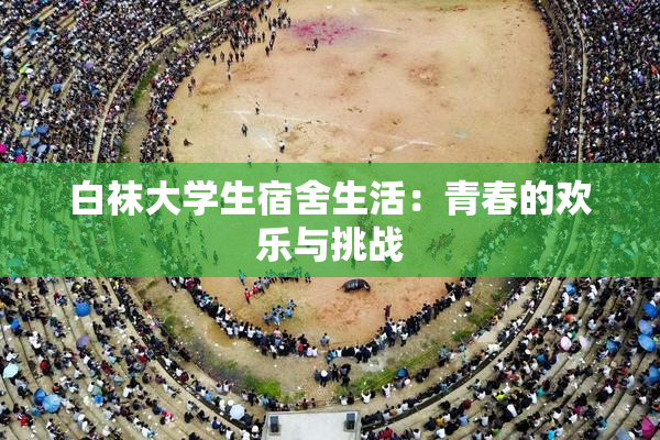 白袜大学生宿舍生活：青春的欢乐与挑战