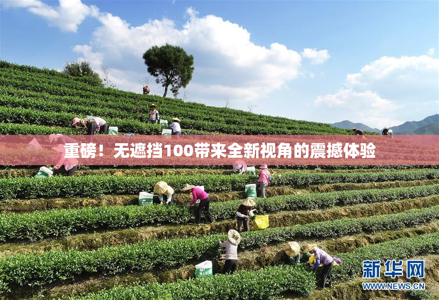 重磅！无遮挡100带来全新视角的震撼体验