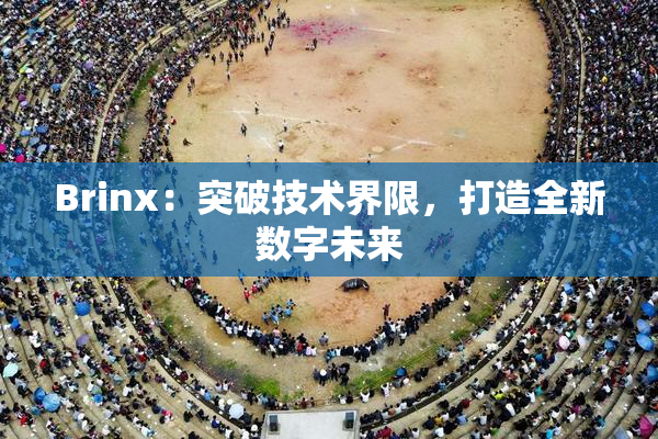 Brinx：突破技术界限，打造全新数字未来