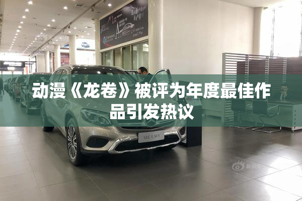 动漫《龙卷》被评为年度最佳作品引发热议