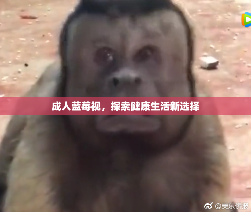 成人蓝莓视，探索健康生活新选择