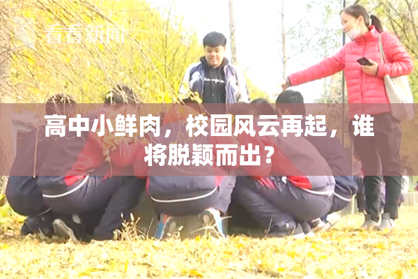 高中小鲜肉，校园风云再起，谁将脱颖而出？