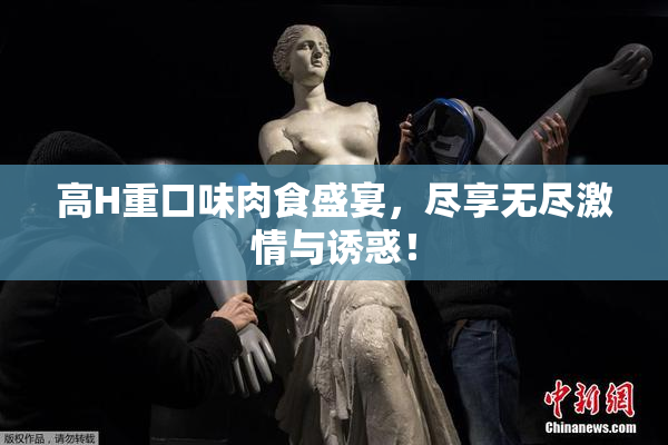 高H重口味肉食盛宴，尽享无尽激情与诱惑！