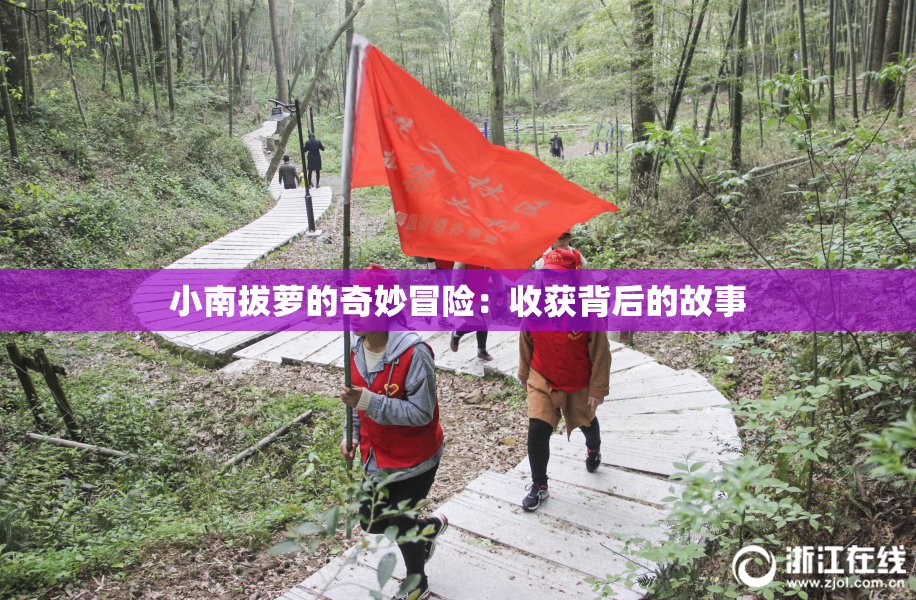小南拔萝的奇妙冒险：收获背后的故事