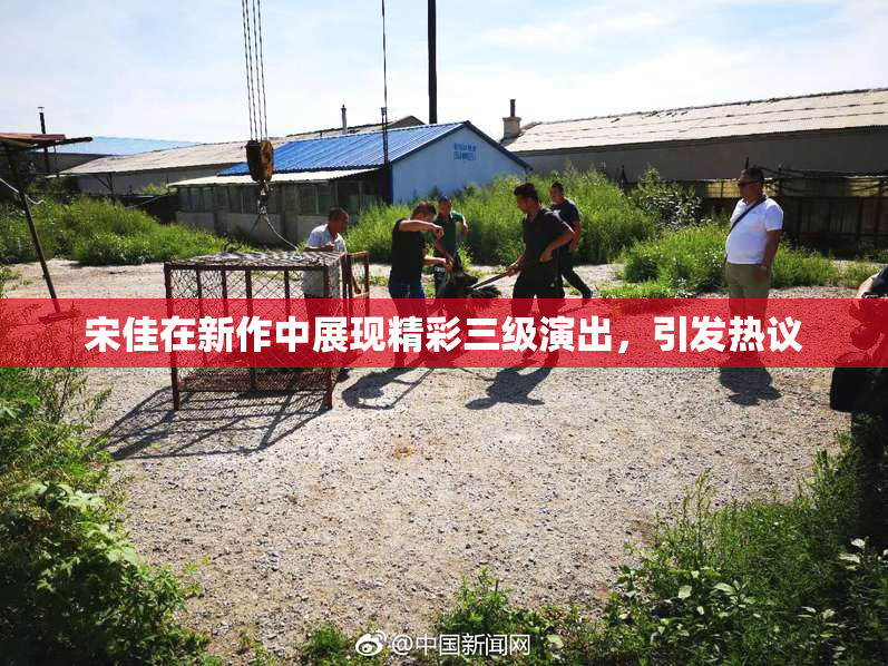 宋佳在新作中展现精彩三级演出，引发热议
