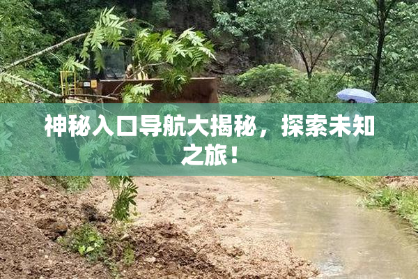 神秘入口导航大揭秘，探索未知之旅！