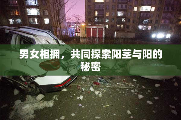 男女相拥，共同探索阳茎与阳的秘密
