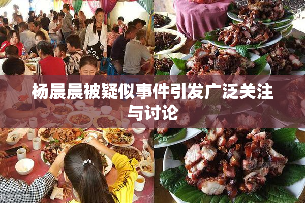 杨晨晨被疑似事件引发广泛关注与讨论