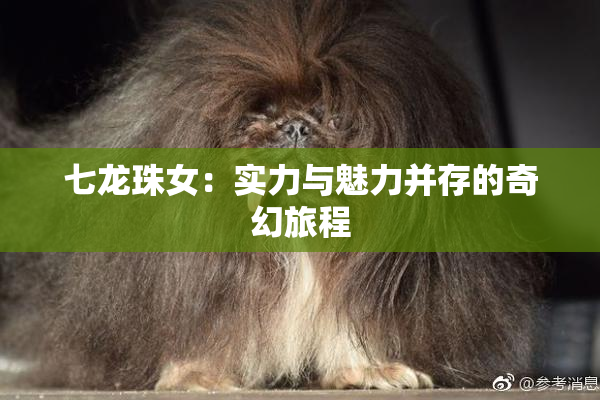 七龙珠女：实力与魅力并存的奇幻旅程