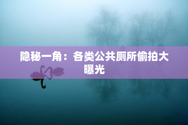 隐秘一角：各类公共厕所偷拍大曝光