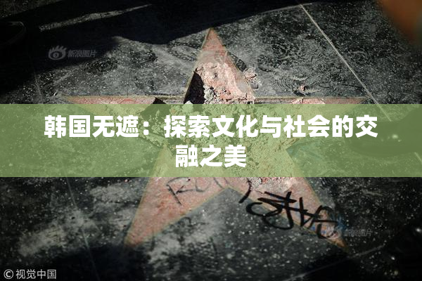 韩国无遮：探索文化与社会的交融之美