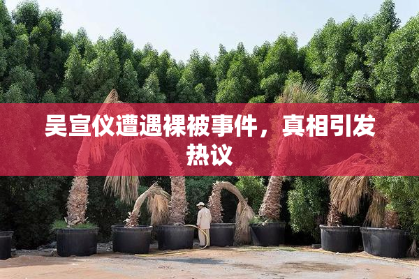 吴宣仪遭遇裸被事件，真相引发热议