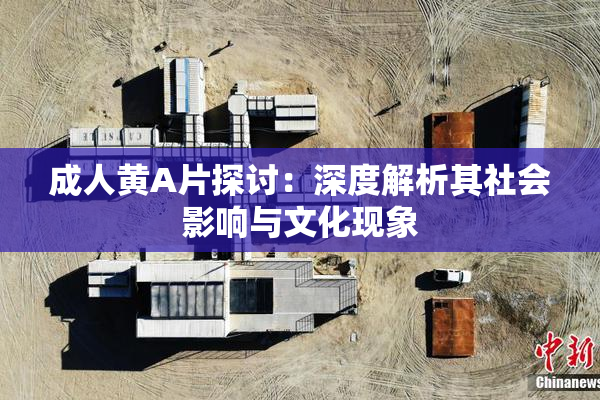 成人黄A片探讨：深度解析其社会影响与文化现象