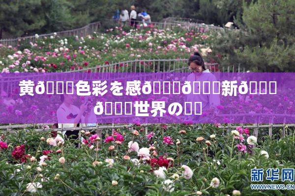 黄🎆色彩を感🍓🌃新👅🍑世界の発見