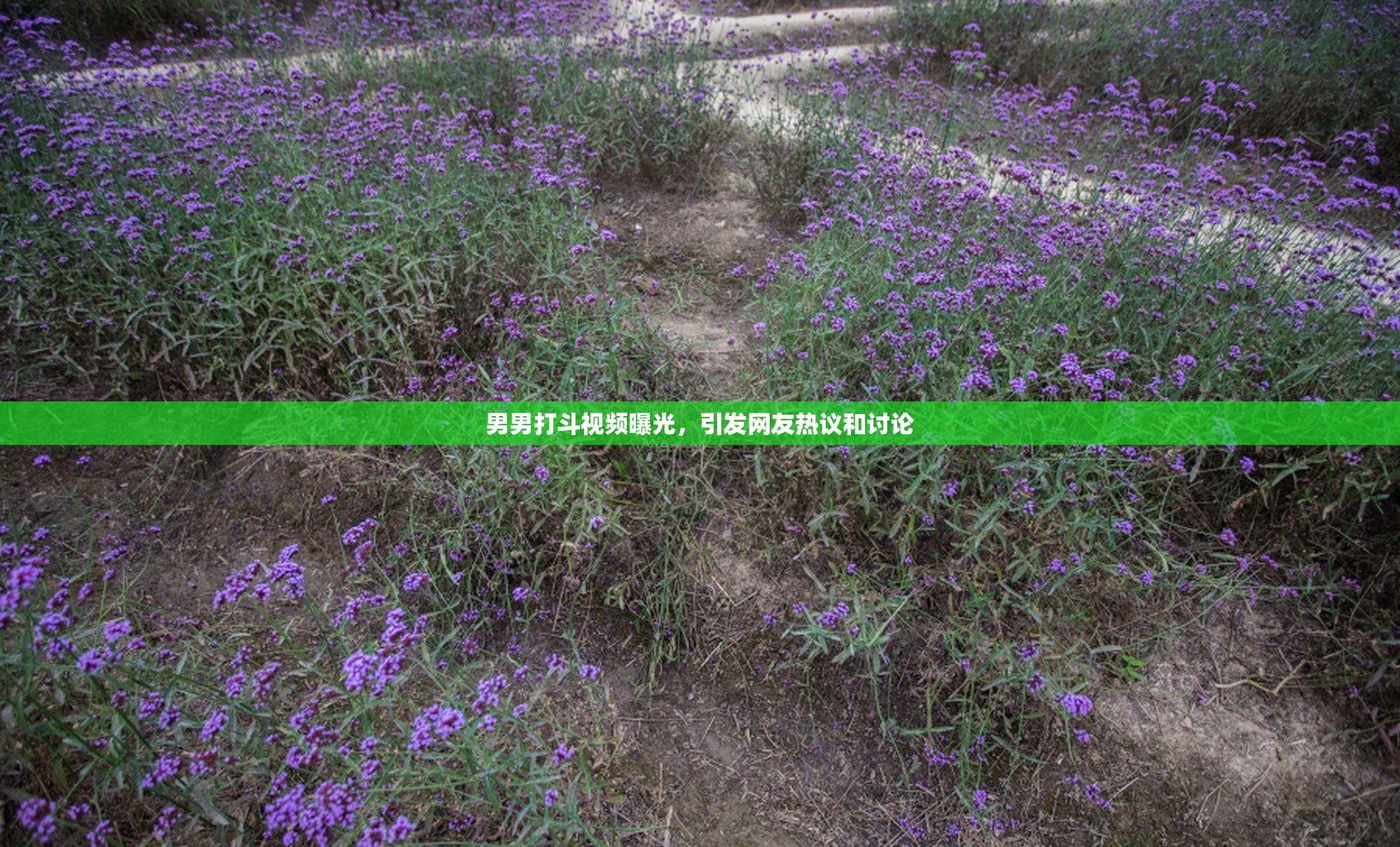 男男打斗视频曝光，引发网友热议和讨论