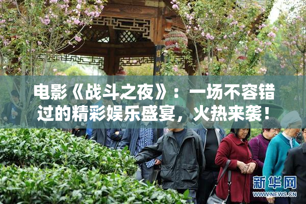 电影《战斗之夜》：一场不容错过的精彩娱乐盛宴，火热来袭！