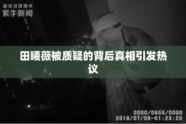 田曦薇被质疑的背后真相引发热议