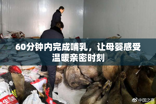60分钟内完成哺乳，让母婴感受温暖亲密时刻