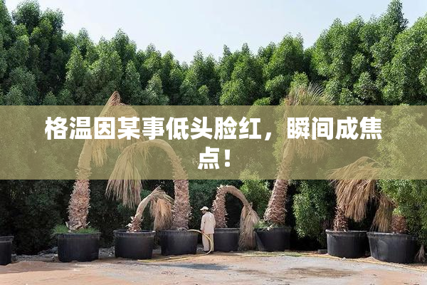 格温因某事低头脸红，瞬间成焦点！