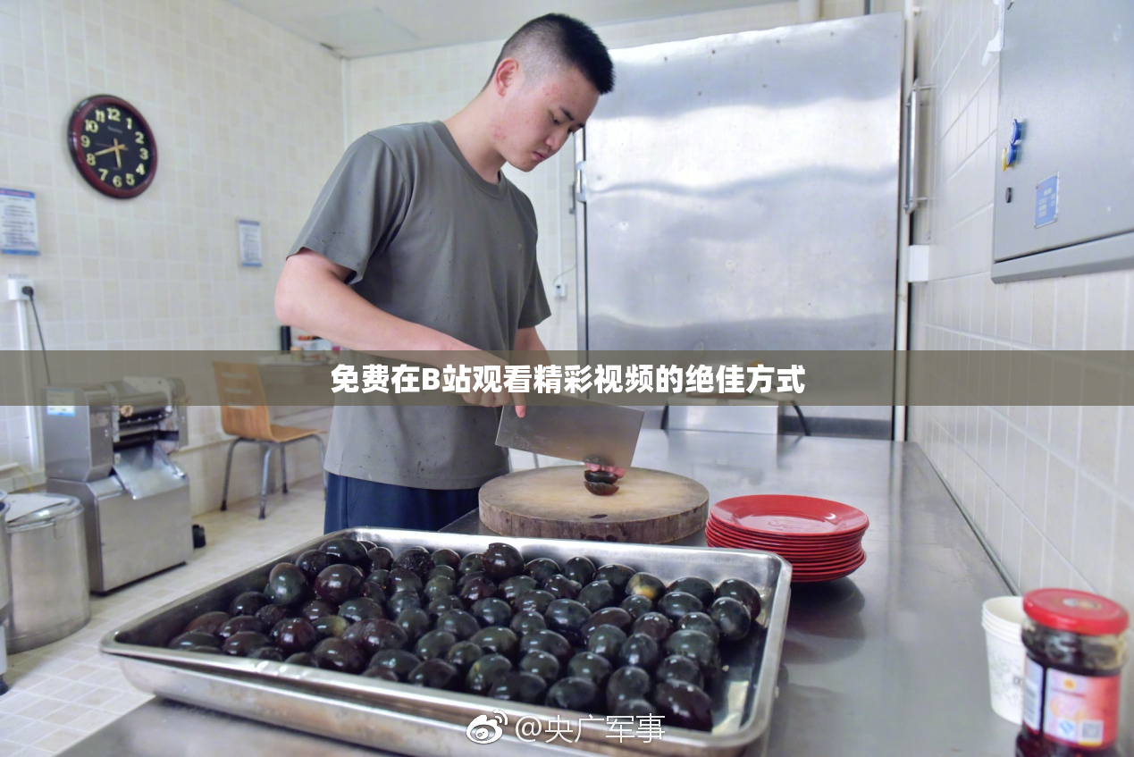 免费在B站观看精彩视频的绝佳方式