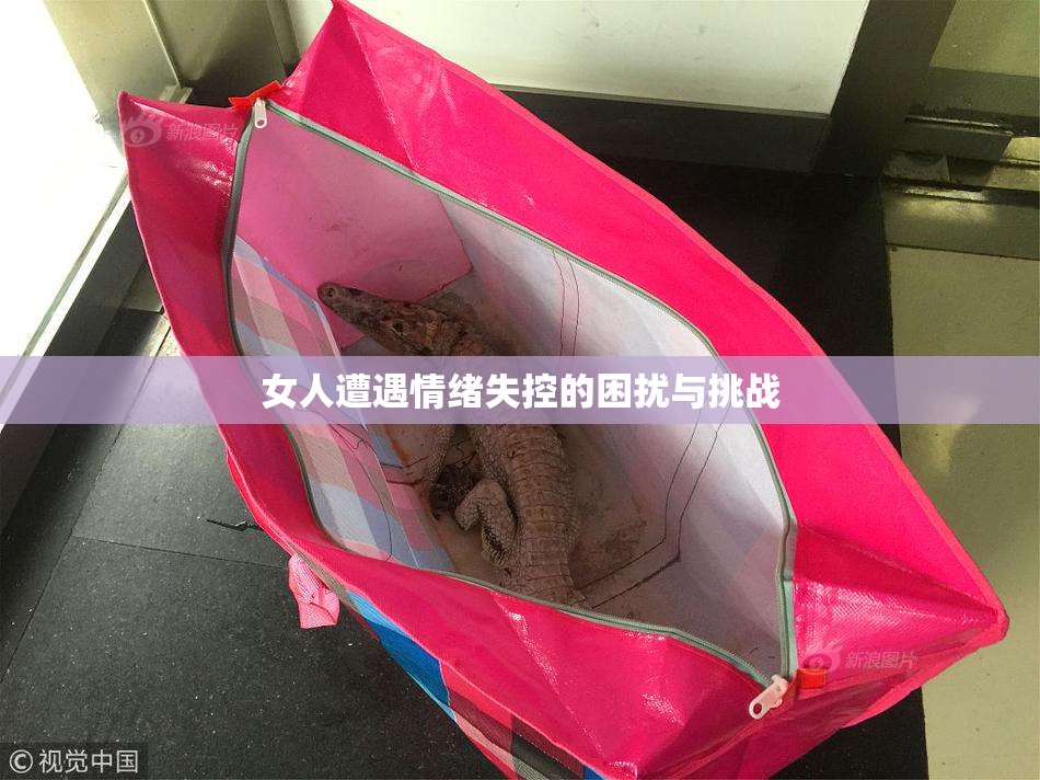 女人遭遇情绪失控的困扰与挑战