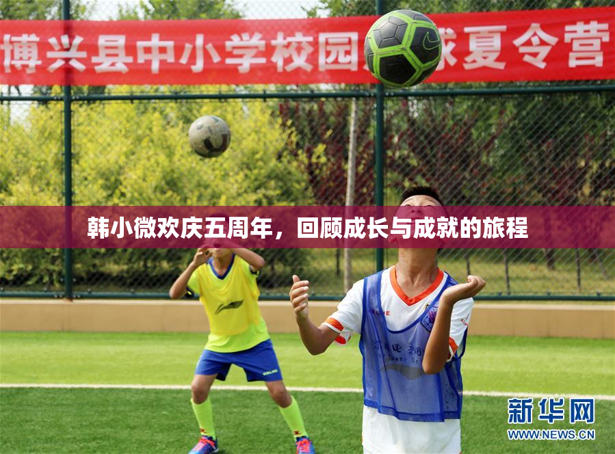 韩小微欢庆五周年，回顾成长与成就的旅程