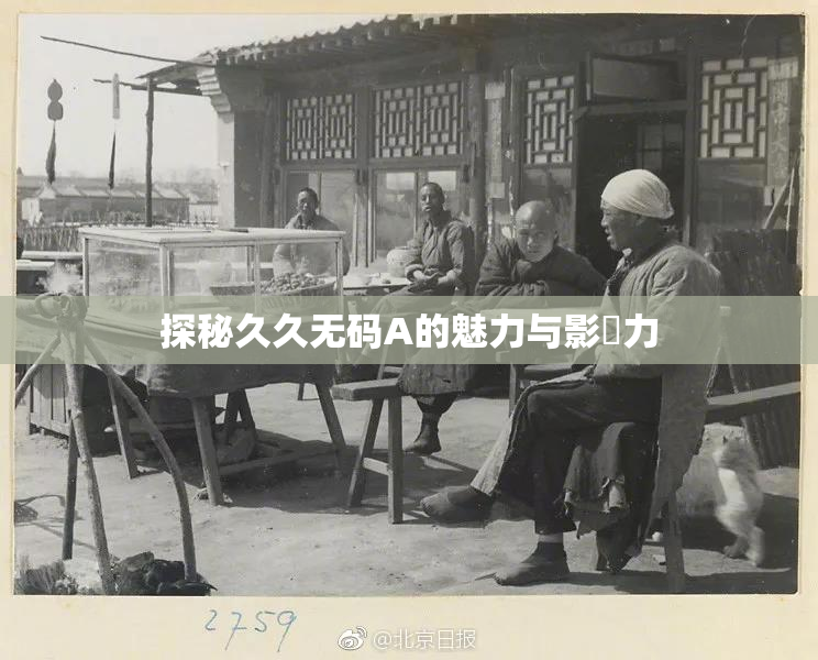 探秘久久无码A的魅力与影響力