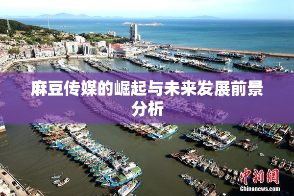麻豆传媒的崛起与未来发展前景分析