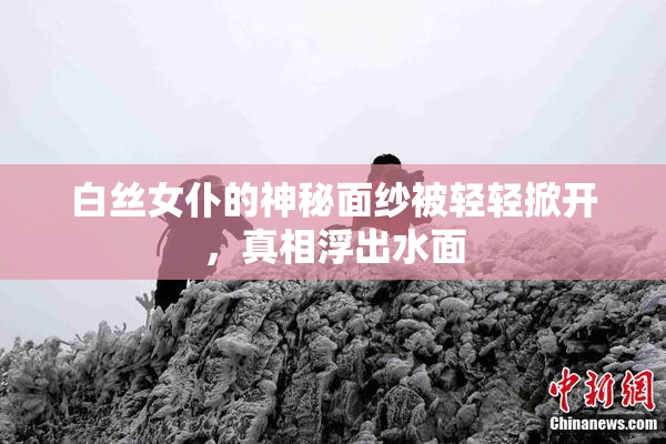 白丝女仆的神秘面纱被轻轻掀开，真相浮出水面
