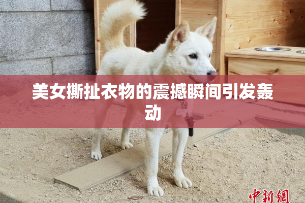 美女撕扯衣物的震撼瞬间引发轰动