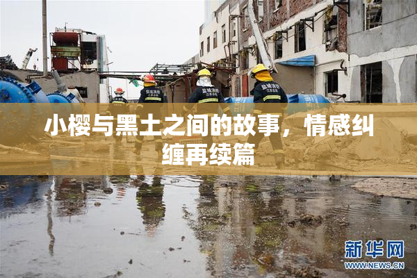 小樱与黑土之间的故事，情感纠缠再续篇
