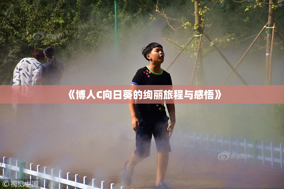 《博人C向日葵的绚丽旅程与感悟》