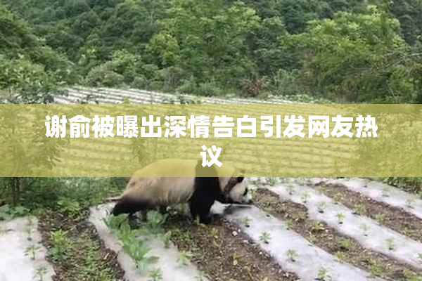 谢俞被曝出深情告白引发网友热议