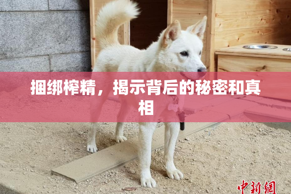 捆绑榨精，揭示背后的秘密和真相