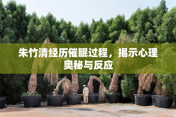 朱竹清经历催眠过程，揭示心理奥秘与反应