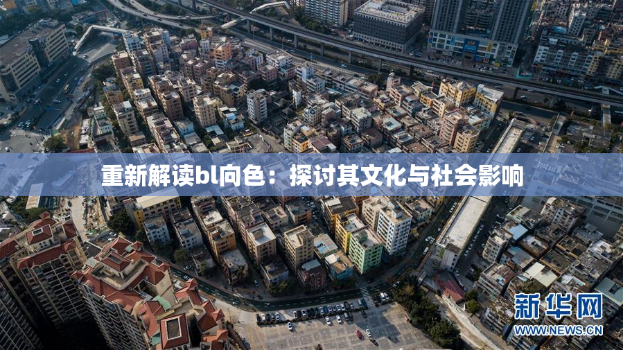 重新解读bl向色：探讨其文化与社会影响