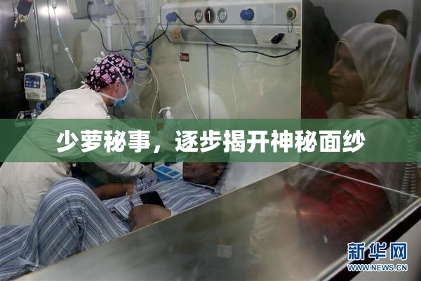 少萝秘事，逐步揭开神秘面纱