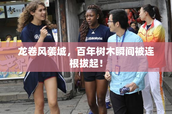 龙卷风袭城，百年树木瞬间被连根拔起！