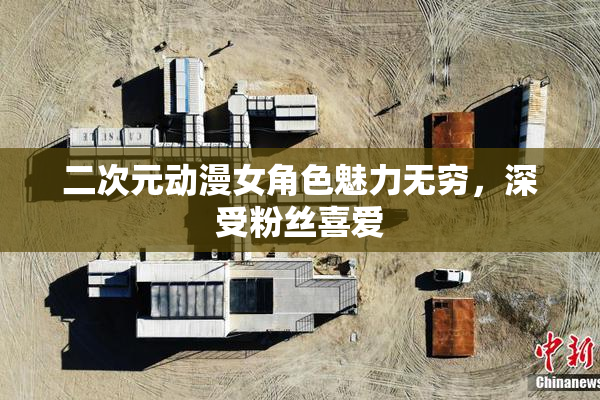 二次元动漫女角色魅力无穷，深受粉丝喜爱