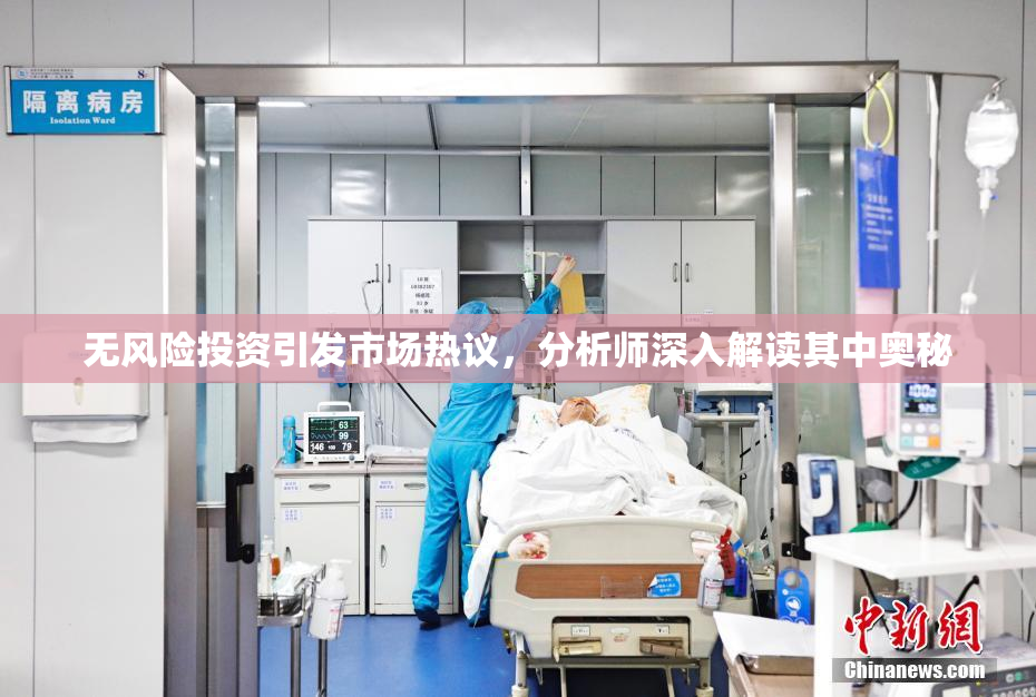 无风险投资引发市场热议，分析师深入解读其中奥秘